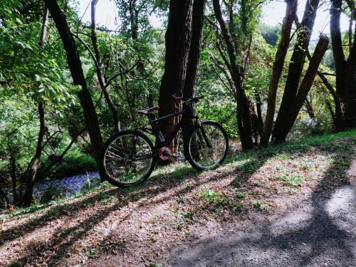 マウンテンバイクライダーの世界へ